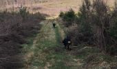 Randonnée Cheval Léglise - Traimont Avenière - Photo 7