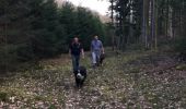 Tocht Paard Léglise - Traimont Avenière - Photo 5