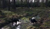 Percorso Cavallo Léglise - Traimont Avenière - Photo 4