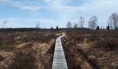 Trail Nordic walking Malmedy - hockay_07_04_2018 - Photo 5