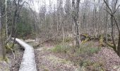 Trail Nordic walking Malmedy - hockay_07_04_2018 - Photo 4