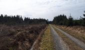 Trail Nordic walking Malmedy - hockay_07_04_2018 - Photo 2