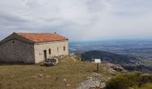 Trail Walking Le Bessat - Pilat 1350 - Photo 2