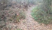 Trail Running Smarves - CO 1er partie bois de saint pierre - Photo 11
