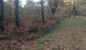 Trail Running Smarves - CO 1er partie bois de saint pierre - Photo 9
