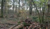 Trail Running Smarves - CO 1er partie bois de saint pierre - Photo 3