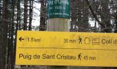 Trail Walking Montesquieu-des-Albères - montesquieu . puig sant cristau . prieuré Santa maria del villard  . montesquieu - Photo 4