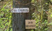 Percorso Marcia Vivières - en forêt de Retz_63_le Houssoye_les Crapaudières - Photo 14