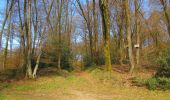 Trail Walking Vivières - en forêt de Retz_63_le Houssoye_les Crapaudières - Photo 18
