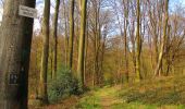 Tocht Stappen Vivières - en forêt de Retz_63_le Houssoye_les Crapaudières - Photo 19