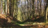 Trail Walking Vivières - en forêt de Retz_63_le Houssoye_les Crapaudières - Photo 7