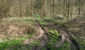 Tour Rollerblading Erquelinnes - Bersillies  - Photo 2