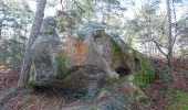 Trail Walking Fontainebleau - 180411 EnCours - Photo 17