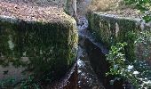 Trail Walking Fontainebleau - 180411 EnCours - Photo 15