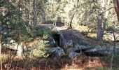 Trail Walking Fontainebleau - 180411 EnCours - Photo 14