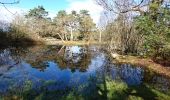 Trail Walking Fontainebleau - 180411 EnCours - Photo 12