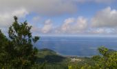 Tocht Stappen Kani-Kéli - Mayotte 12042018 - Photo 4