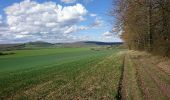 Randonnée Marche Villecomte - VILLECOMTE, Le Creux Bleu, la ferme de Mortière - Photo 5