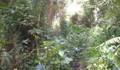 Trail Walking Acoua - Mayotte Vendredi 13-04-2018 - Photo 13