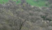 Randonnée Marche Montfaucon - le château et le fort de Montfaucon - Photo 9