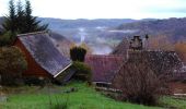 Tocht Mountainbike Beaulieu-sur-Dordogne - Balade en Bellocois et Xaintrie_backup - Photo 8