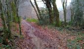 Tocht Mountainbike Beaulieu-sur-Dordogne - Balade en Bellocois et Xaintrie_backup - Photo 3