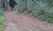 Tour Mountainbike Beaulieu-sur-Dordogne - Balade en Bellocois et Xaintrie_backup - Photo 2