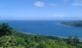 Tocht Stappen Bandrélé - Mayotte 14042018 - Photo 9