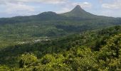 Tocht Stappen Bandrélé - Mayotte 14042018 - Photo 8