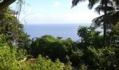 Tocht Stappen Bandrélé - Mayotte 14042018 - Photo 4