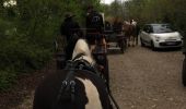 Tour Pferd Avignon - AVIGNON - Photo 2