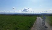 Excursión Bici de montaña Saint-Clément - sortie vtt du 15042018 dite du lièvre pédaleur! - Photo 6