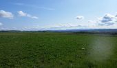 Excursión Bici de montaña Saint-Clément - sortie vtt du 15042018 dite du lièvre pédaleur! - Photo 5