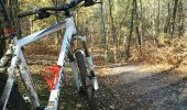 Trail Mountain bike Béthemont-la-Forêt - souvenirs  - Photo 1