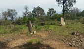 Excursión Senderismo Les Arcs-sur-Argens - les arcs dolmens des terriers - Photo 1