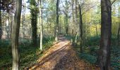 Trail Walking Fleurus - De Wanfercée - Baulet à Velaine par bois et campagnes - Photo 2