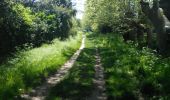 Trail Walking Lattes - Etang du mejean - Photo 14