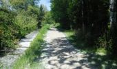 Trail Walking Lattes - Etang du mejean - Photo 13
