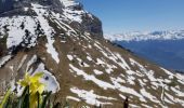 Tour Wandern Plateau-des-Petites-Roches - Pravouta en traversée  Ouest-Est - Photo 6