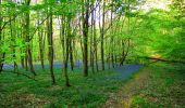 Tocht Stappen La Ferté-Milon - en forêt de Retz_64_un grand tour autour de Bourgfontaine - Photo 9