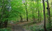 Trail Walking La Ferté-Milon - en forêt de Retz_64_un grand tour autour de Bourgfontaine - Photo 20