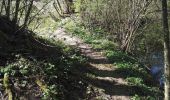 Trail Walking Pampigny - Circuit à Pampigny 20.04.18 - Photo 11