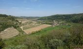 Excursión Senderismo La Rochepot - LA ROCHEPOT ; SAINT-ROMAIN - Photo 1