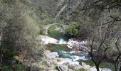 Randonnée Marche Ota - Corse 2018 sentier des gorges - Photo 5
