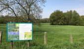 Trail Walking Brakel - everbeek bis 15 km - Photo 3