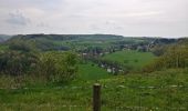 Trail Walking Durbuy - langs de ourthe in durbuy 13 km - Photo 8