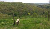 Trail Walking Durbuy - langs de ourthe in durbuy 13 km - Photo 7