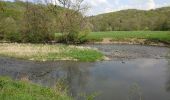 Trail Walking Durbuy - langs de ourthe in durbuy 13 km - Photo 6