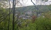 Trail Walking Durbuy - langs de ourthe in durbuy 13 km - Photo 2