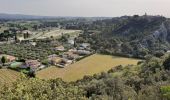 Randonnée Course à pied Rochefort-du-Gard - 10 km de Garrigues à courir ou flanner - Photo 4